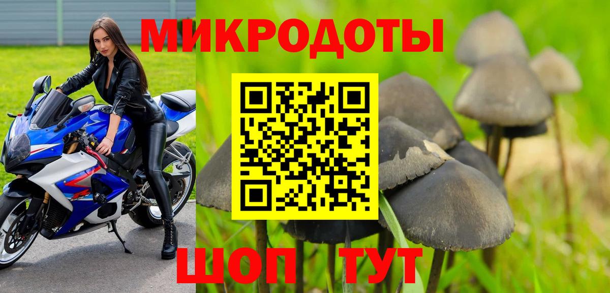 Галлюциногенные грибы MAGIC MUSHROOMS Клин