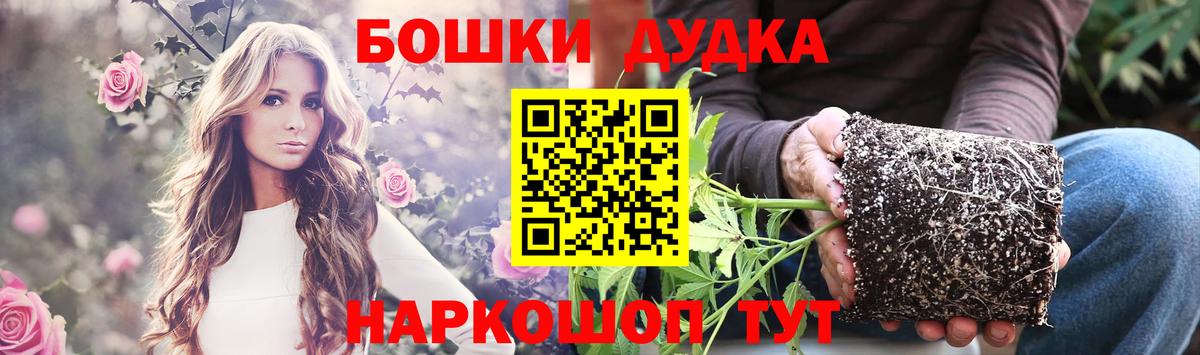 Каннабис сатива Клин